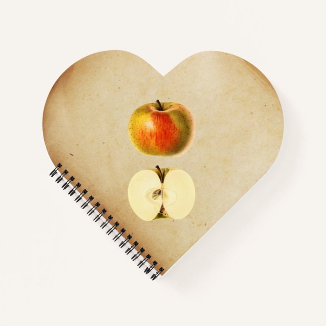 Cuaderno Una manzana vieja y media (Anverso)