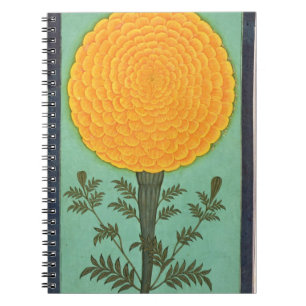 Cuaderno Una maravilla, del pequeño álbum de Clive (w/c en