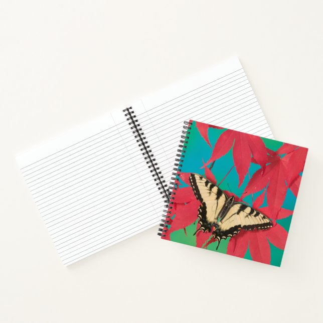 Cuaderno Una mariposa canadiense de cola de golondrina tigr (Interior)