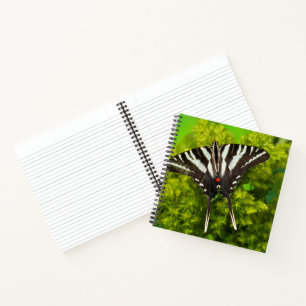 Cuaderno Una mariposa cola de golondrina norteamericana