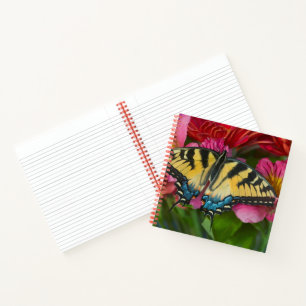 Cuaderno Una mariposa cola de golondrina tigre