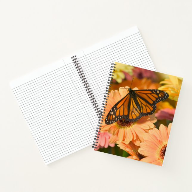 Cuaderno Una Mariposa Manto de Luto (Interior)