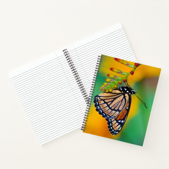 Cuaderno Una mariposa virrey en flores (Interior)
