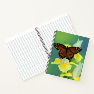 Cuaderno Una mariposa virrey en un lirio japonés amarillo