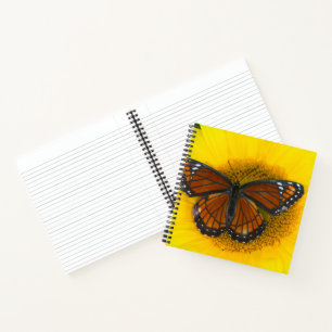 Cuaderno Una mariposa virrey Limenitis Archippus