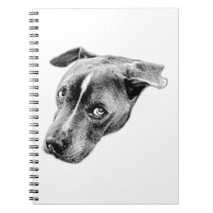 Cuaderno Una mirada fija para los pensamientos estables