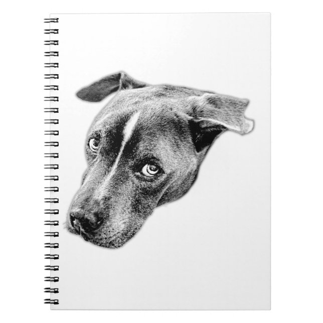 Cuaderno Una mirada fija para los pensamientos estables (Frente)