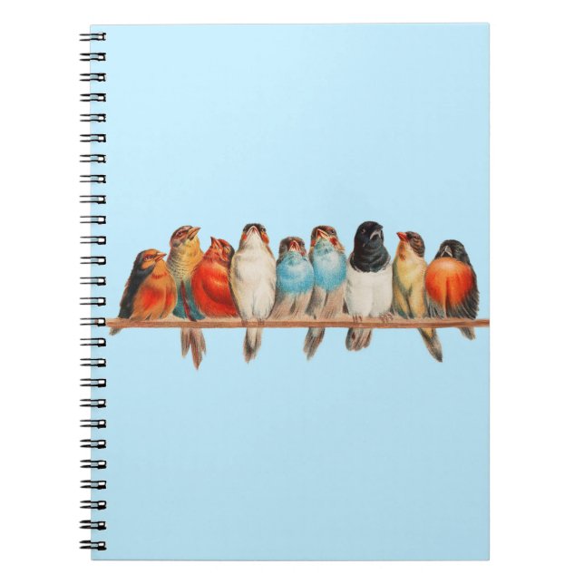Cuaderno Una percha de aves, por Hector Giacomelli (Frente)
