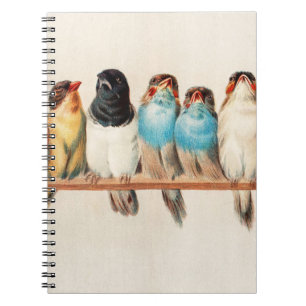 Cuaderno Una percha de aves por Héctor Giacomelli