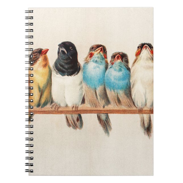 Cuaderno Una percha de aves por Héctor Giacomelli (Frente)