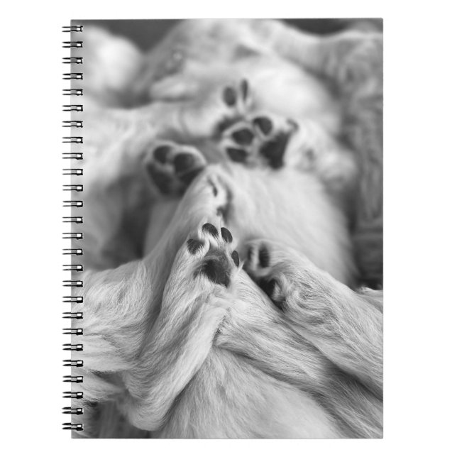 Cuaderno Una Pila de Patas de Cachorro (Frente)