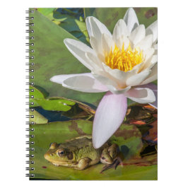 Cuaderno Una rana bajo una flor de nenúfar