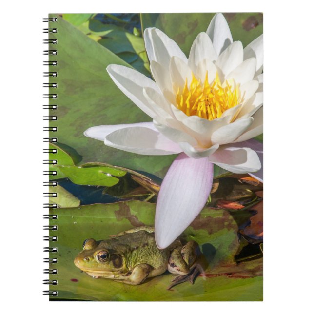 Cuaderno Una rana bajo una flor de nenúfar (Frente)