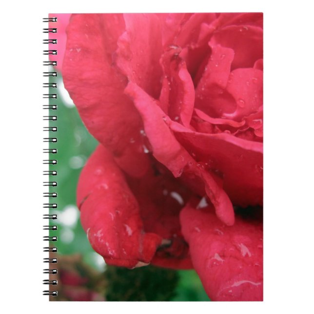 Cuaderno Una rosa roja (Frente)
