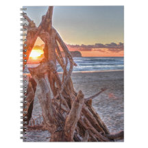 Una salida del sol del Driftwood