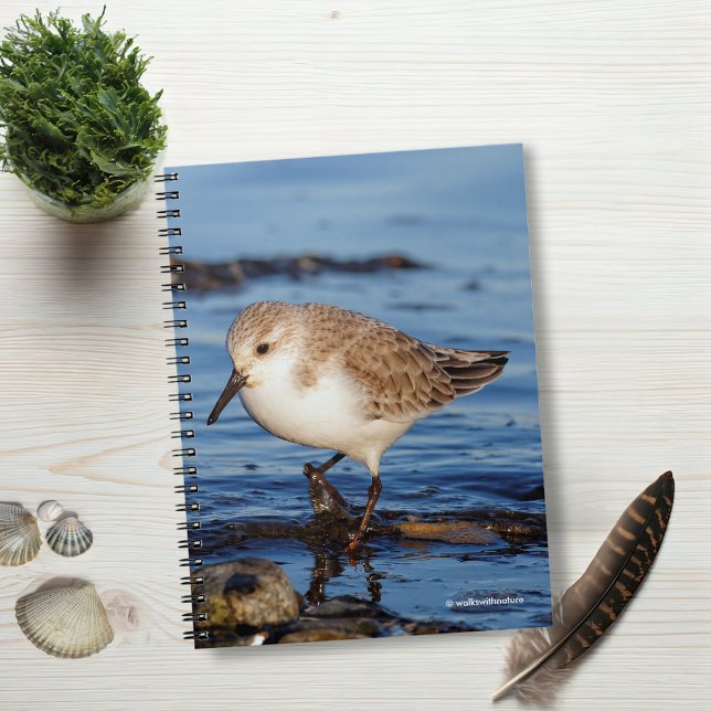 Cuaderno Una sangría errante (Wandering Sanderling on the Beach Journal Cover Photo)