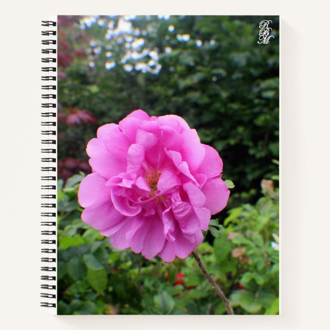 Cuaderno Una sola flor rosa (Anverso)