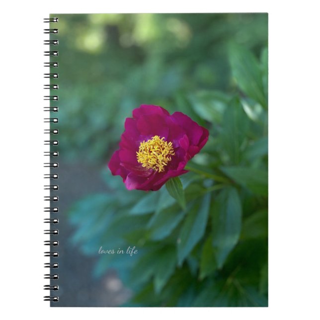 Cuaderno Una sola persona (Frente)