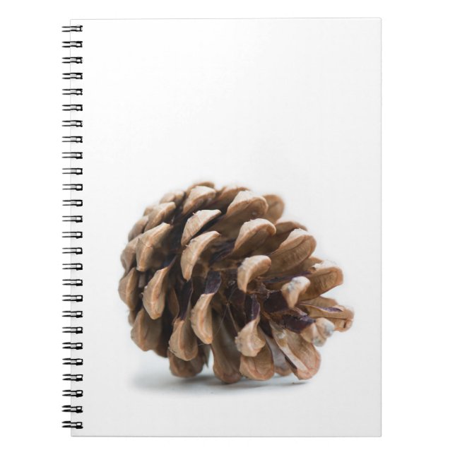 Cuaderno Una sola pinecona (Frente)