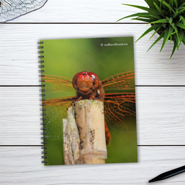 Cuaderno Una sonriente libélula roja (A Smiling Red Dragonfly Journal Cover Photo)