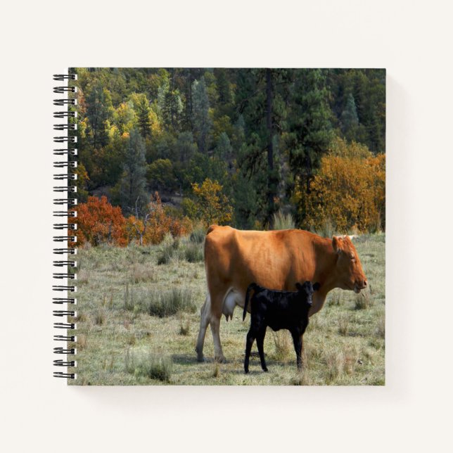 Cuaderno Una vaca y su ternera... (Anverso)