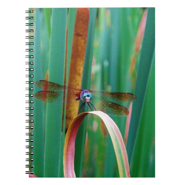 Cuaderno Una verde azulada libélula teñida con collares (Frente)