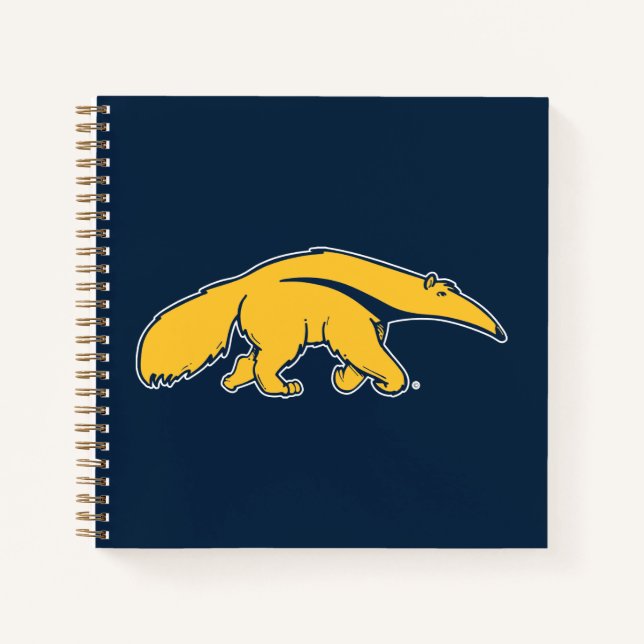 Cuaderno Universidad de California, Irvine Anteater (Anverso)