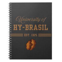 Universidad de Hy-Brasil, Est. 1325