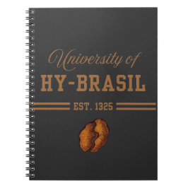 Cuaderno University of Hy-Brasil, Est. 1325