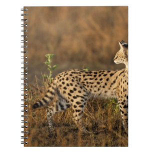 Cuaderno Upper Mara, Reserva de caza Masai Mara, Kenia,