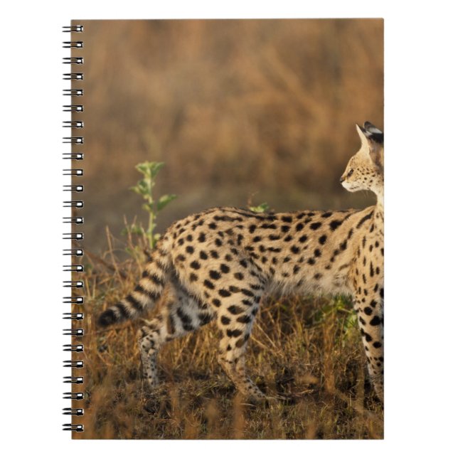 Cuaderno Upper Mara, Reserva de caza Masai Mara, Kenia, (Frente)