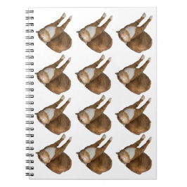 Cuaderno Upside-Down Sunshine Cat