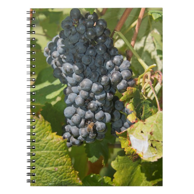 Cuaderno Uruguay, Montevideo, Área Colon. Bodegas (Frente)