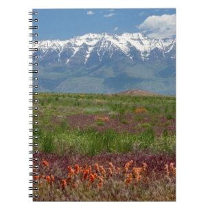 Cuaderno Utah, EE. UU. El monte Timpanogos se eleva sobre