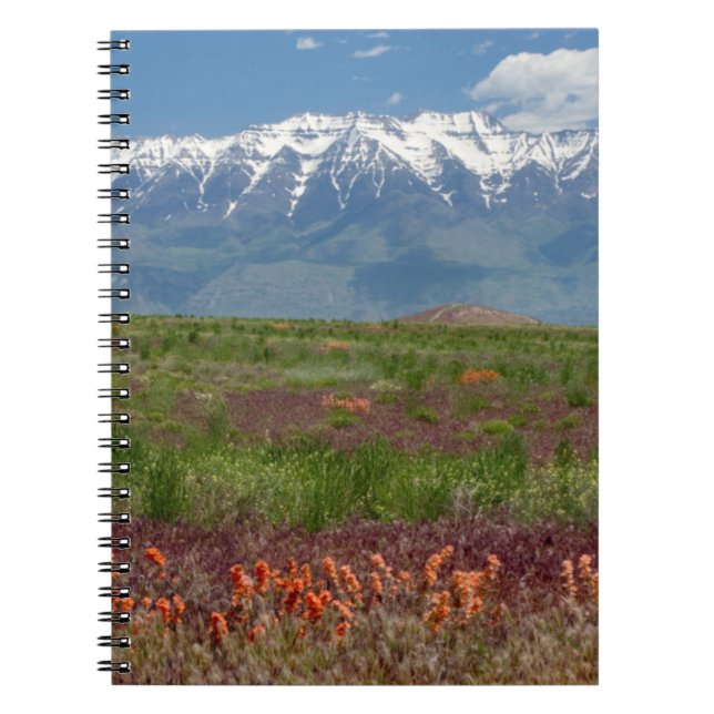 Cuaderno Utah, EE. UU. El monte Timpanogos se eleva sobre (Frente)