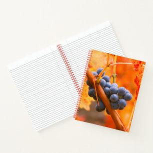 Cuaderno Uva Madura En Viñedo