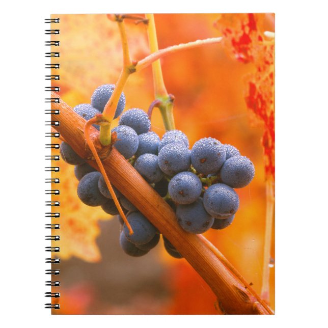 Cuaderno Uva Madura En Viñedo (Frente)