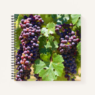 Cuaderno Uvas