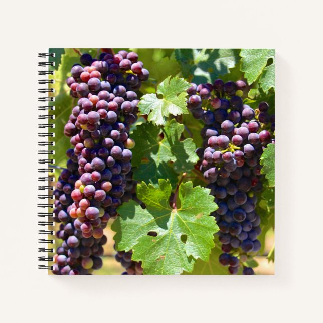 Cuaderno Uvas (Anverso)