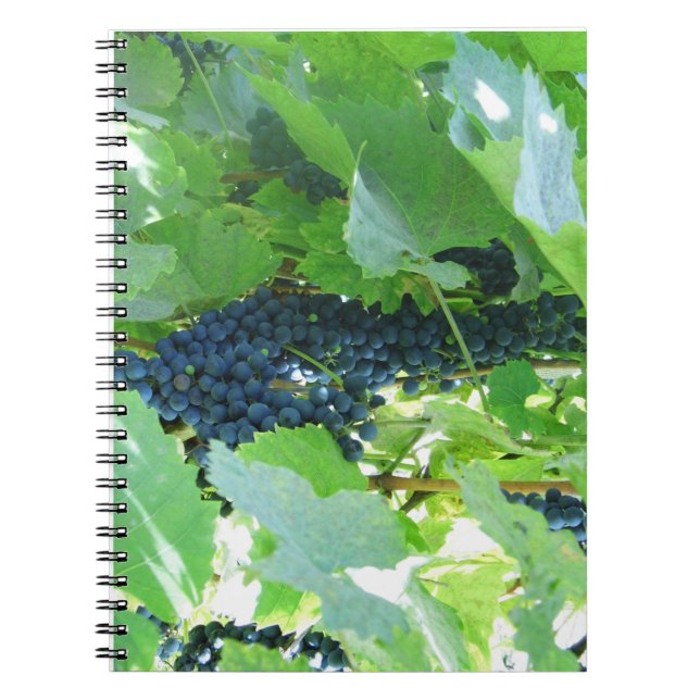 Cuaderno Uvas (Frente)