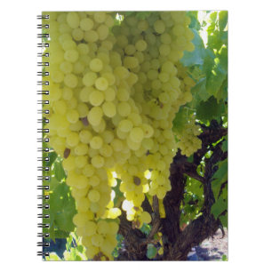 Cuaderno Uvas De Sultana En Un Vino De Uva,