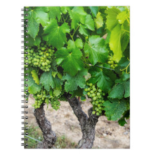 Cuaderno Uvas para Vino Crecen, Francia