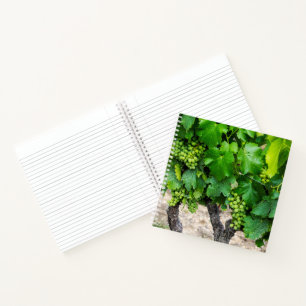 Cuaderno Uvas para Vino Crecen, Francia