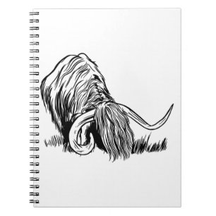 Cuaderno Vaca Alta Escocesa Divertida