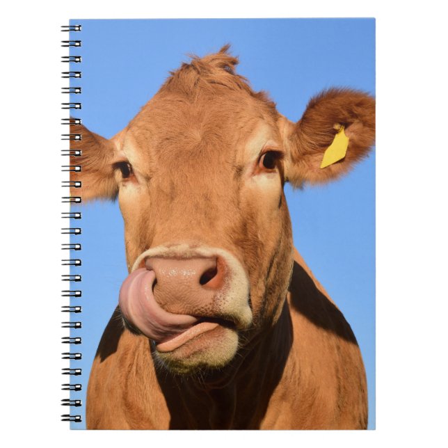 Cuaderno Vaca del jersey que se lame la nariz (Frente)