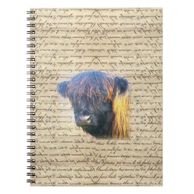 Cuaderno Vaca Highland (Frente)