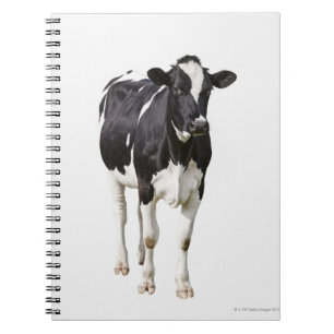 Cuaderno Vaca lechera (tauro del Bos) en el fondo blanco