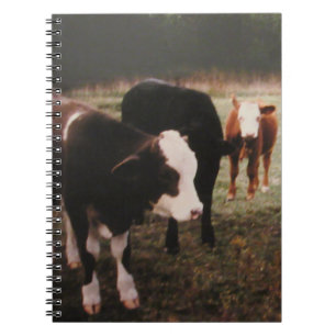 Cuaderno Vacas de crema marrón