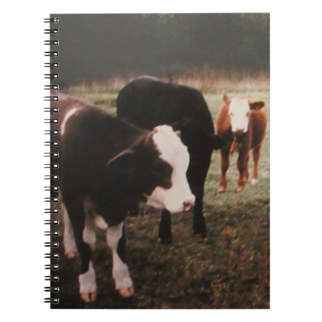 Cuaderno Vacas de crema marrón (Frente)