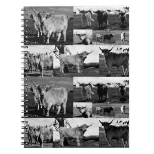 Cuaderno Vacas de la región montañosa en Collage de fotos b